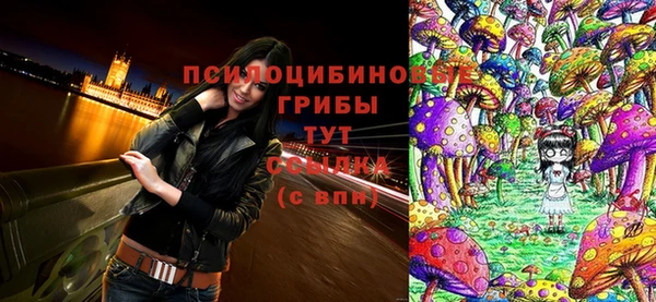 тгк Аркадак