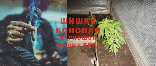 тгк Аркадак